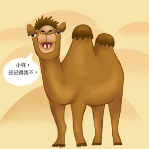 为什么有的骆驼有两个驼峰，有的只有一个
