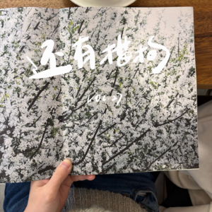 27 1月刊 ｜ 谁是“杂食女人”，碎片时刻何以珍贵？