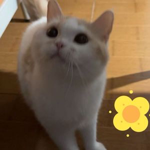 podcaster-avatar