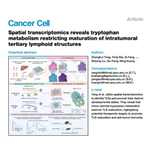 129-Tryptophan Metabolism Restricts TLS Maturation