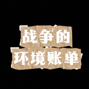 战争的环境账单