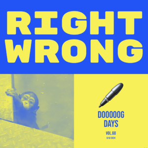 vol.60:所有选择,既对也错