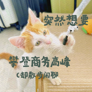 突然想要攀登商务高峰（却散步闲聊