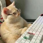 这家伙正在长头发