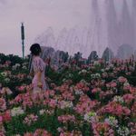 云梦Flora
