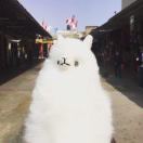 头发越来越多了