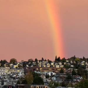 Vol.02 终于见到了竹子的十月！