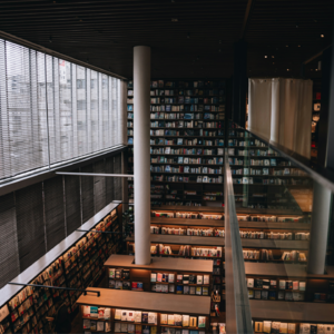 EP116 端到端股票投资组合