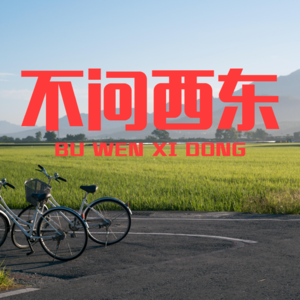 不问西东