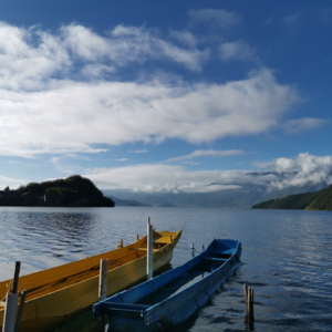 【鸮德乐】#08 从5天夜班崩溃到云南回血：高反、酒店坑、跨服夜班生存实录