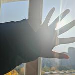 Ally_3be5