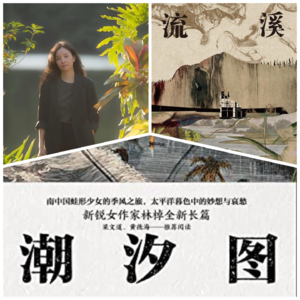 技术性分析:“两部小说就登顶的天才女作家”好在哪?