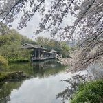柠檬果guo
