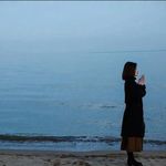 悬崖上的绿萝花