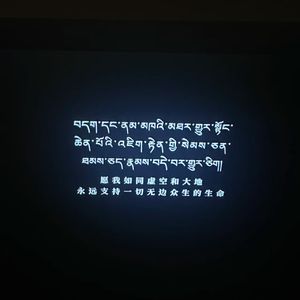 扶光如初