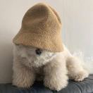 谁说大象不会跳舞