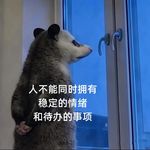 Ep80 工作后，为什么感觉世界没想象中专业？｜聊聊那些让我们祛魅的职场血泪史