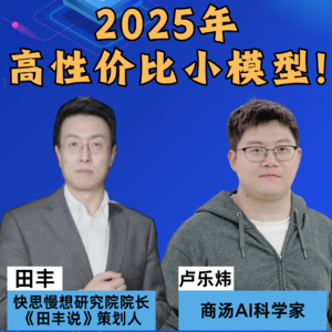 第382集 2025年高性价比小模型！