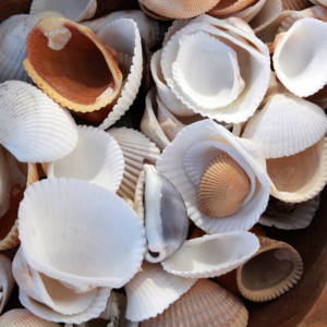 EP30 解读商品曲线投资策略