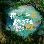 随风落起