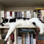 花哥的花花世界