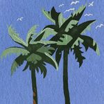 大椰椰