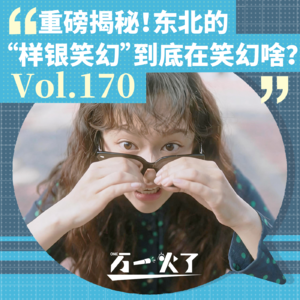 Vol.170 重磅揭秘！东北的“样银笑幻”到底在笑幻啥？