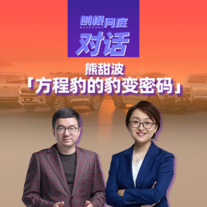 刨根问底丨对话熊甜波女士，方程豹的“豹”发之路
