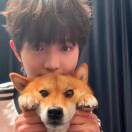 小马儿冲冲_KsW2