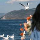 我是一棵树_Rgaz