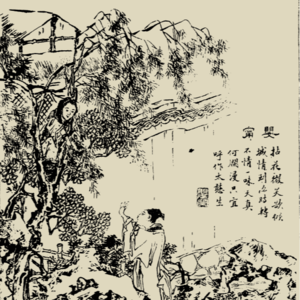 第626期：聊聊聊斋48：《婴宁》（上）——爱笑的女狐狸精运气不会太差