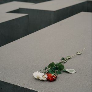 06 清明节，我们尝试直面死亡