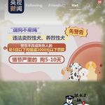 躺平君