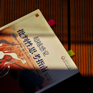 超越感觉 批判性思考指南