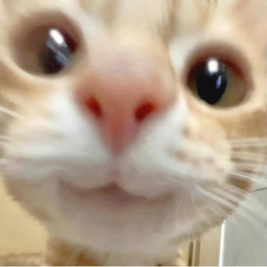 30岁被裁啦！开心开心