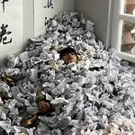 和世界保持蜻蜓点水的关系