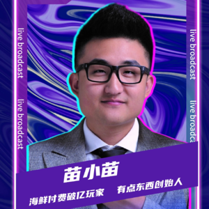 连麦苗小苗：付费打爆品破亿的经验与教训