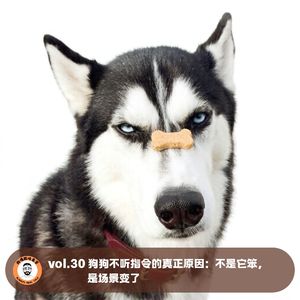 vol.30 狗狗不听指令的真正原因：不是它笨，是场景变了