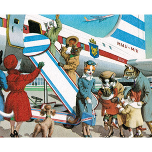 久违的回国之行