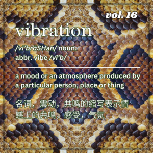 「VIBRATION」 VOL.16 𝔖𝓃𝒶𝓀ℯ𝔖𝓀𝒾𝓃 MIX by WESCHEN