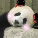 秋夜_cfmH