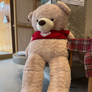 048 被敏感拥抱，和内耗诀别