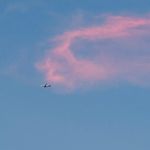 很野先生
