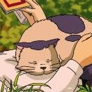 虾虾haha