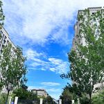 Qing_SxA5