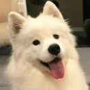 JustGoAlex