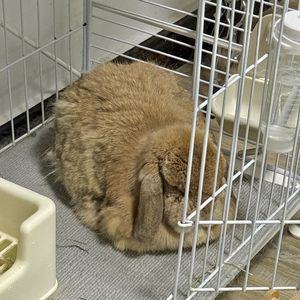 许愿很容易，但一直许愿并不简单 📅 26.Jun.5