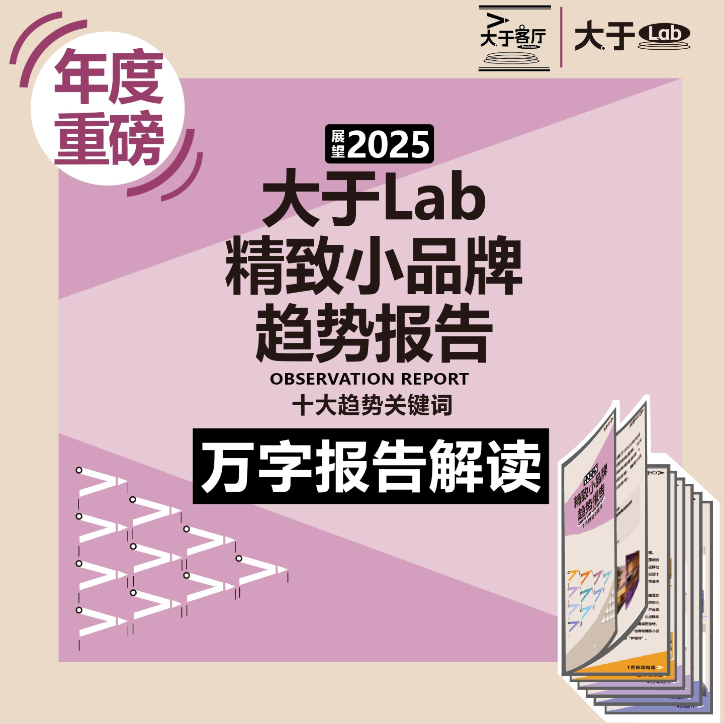 11.特辑｜2025小品牌趋势报告新鲜出炉，万字干货 精炼解读！ episode artwork