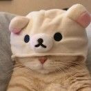 杰先生_tuQV