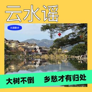 Vol.75一棵624岁的榕树倒下了,整个村子把它扶了起来